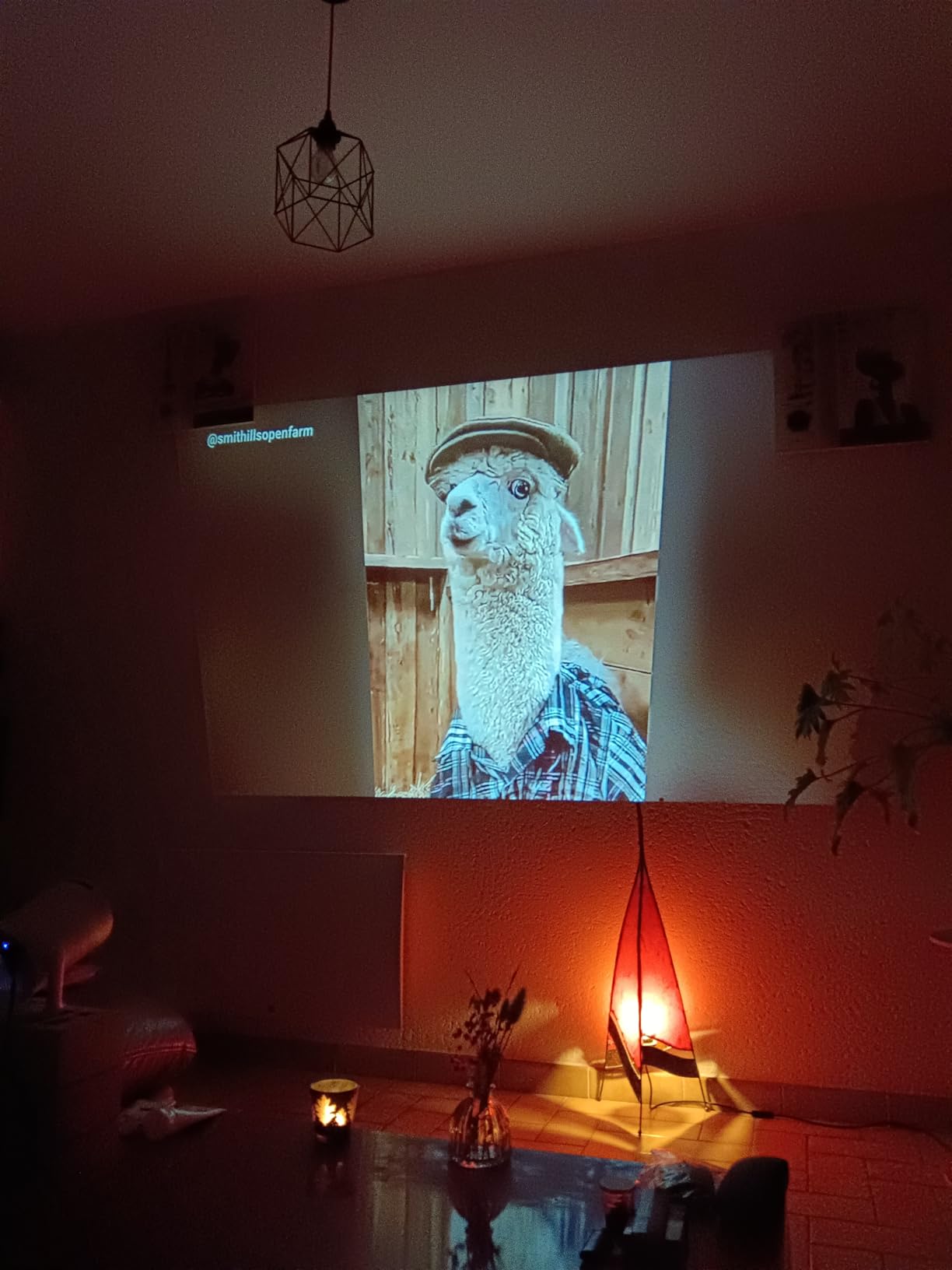 0e137dc3923c2287d8fc0e16a5ee8f8e